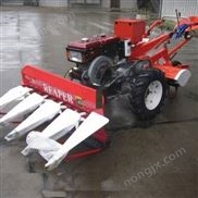 黑麦草收割机 高粱玉米高杆割晒机 胡材割倒机